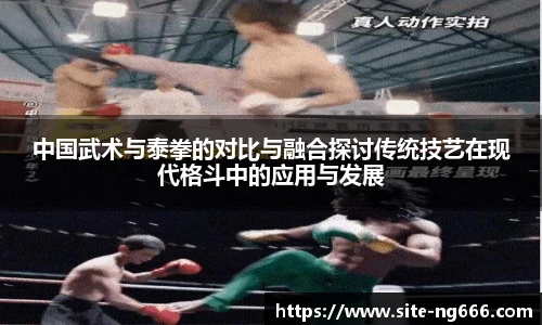 中国武术与泰拳的对比与融合探讨传统技艺在现代格斗中的应用与发展