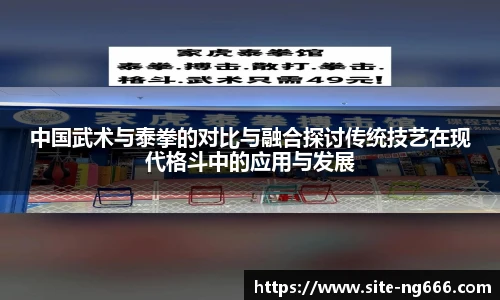 中国武术与泰拳的对比与融合探讨传统技艺在现代格斗中的应用与发展