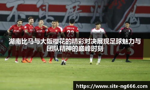湖南比马与大阪樱花的精彩对决展现足球魅力与团队精神的巅峰时刻