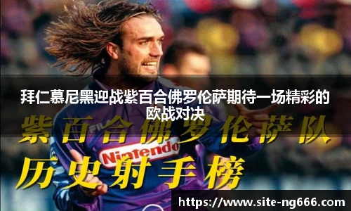 南宫NG28